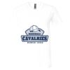 Unisex Jersey Short-Sleeve V-Neck T-Shirt Thumbnail