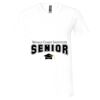 Unisex Jersey Short-Sleeve V-Neck T-Shirt Thumbnail