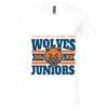 Unisex Jersey Short-Sleeve V-Neck T-Shirt Thumbnail