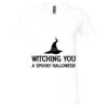 Unisex Jersey Short-Sleeve V-Neck T-Shirt Thumbnail