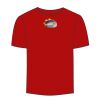 Adult Stars & Stripes T-Shirt Thumbnail
