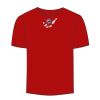 Adult Stars & Stripes T-Shirt Thumbnail