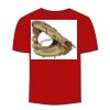 Adult Stars & Stripes T-Shirt Thumbnail