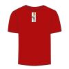 Adult Stars & Stripes T-Shirt Thumbnail