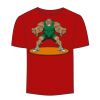 Adult Stars & Stripes T-Shirt Thumbnail