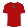 Adult Stars & Stripes T-Shirt Thumbnail