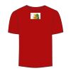 Adult Stars & Stripes T-Shirt Thumbnail