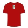 Adult Stars & Stripes T-Shirt Thumbnail