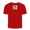 Adult Stars & Stripes T-Shirt Thumbnail