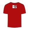 Adult Stars & Stripes T-Shirt Thumbnail