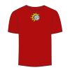 Adult Stars & Stripes T-Shirt Thumbnail