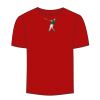 Adult Stars & Stripes T-Shirt Thumbnail