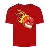 Adult Stars & Stripes T-Shirt Thumbnail