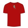 Adult Stars & Stripes T-Shirt Thumbnail