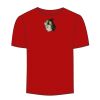 Adult Stars & Stripes T-Shirt Thumbnail