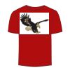 Adult Stars & Stripes T-Shirt Thumbnail
