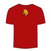 Adult Stars & Stripes T-Shirt Thumbnail
