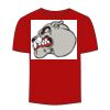 Adult Stars & Stripes T-Shirt Thumbnail