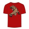 Adult Stars & Stripes T-Shirt Thumbnail