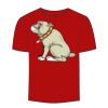Adult Stars & Stripes T-Shirt Thumbnail