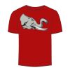 Adult Stars & Stripes T-Shirt Thumbnail