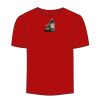 Adult Stars & Stripes T-Shirt Thumbnail
