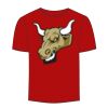 Adult Stars & Stripes T-Shirt Thumbnail