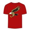 Adult Stars & Stripes T-Shirt Thumbnail