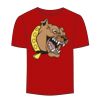 Adult Stars & Stripes T-Shirt Thumbnail