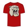 Adult Stars & Stripes T-Shirt Thumbnail