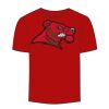 Adult Stars & Stripes T-Shirt Thumbnail