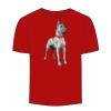 Adult Stars & Stripes T-Shirt Thumbnail