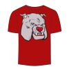 Adult Stars & Stripes T-Shirt Thumbnail