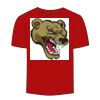 Adult Stars & Stripes T-Shirt Thumbnail