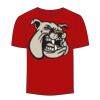 Adult Stars & Stripes T-Shirt Thumbnail