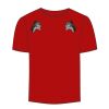 Adult Stars & Stripes T-Shirt Thumbnail