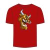Adult Stars & Stripes T-Shirt Thumbnail