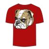 Adult Stars & Stripes T-Shirt Thumbnail