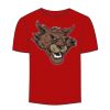 Adult Stars & Stripes T-Shirt Thumbnail