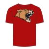 Adult Stars & Stripes T-Shirt Thumbnail