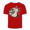 Adult Stars & Stripes T-Shirt Thumbnail
