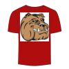 Adult Stars & Stripes T-Shirt Thumbnail