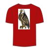 Adult Stars & Stripes T-Shirt Thumbnail