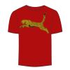 Adult Stars & Stripes T-Shirt Thumbnail