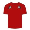 Adult Stars & Stripes T-Shirt Thumbnail