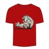 Adult Stars & Stripes T-Shirt Thumbnail