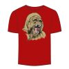 Adult Stars & Stripes T-Shirt Thumbnail