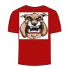 Adult Stars & Stripes T-Shirt Thumbnail