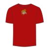 Adult Stars & Stripes T-Shirt Thumbnail