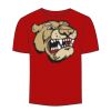 Adult Stars & Stripes T-Shirt Thumbnail